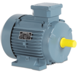 havells induction motor